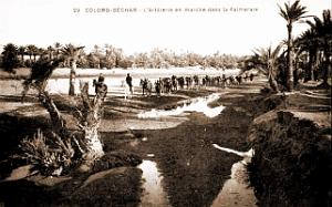 Colomb-Bechar - Artillerie dans la Palmeraie